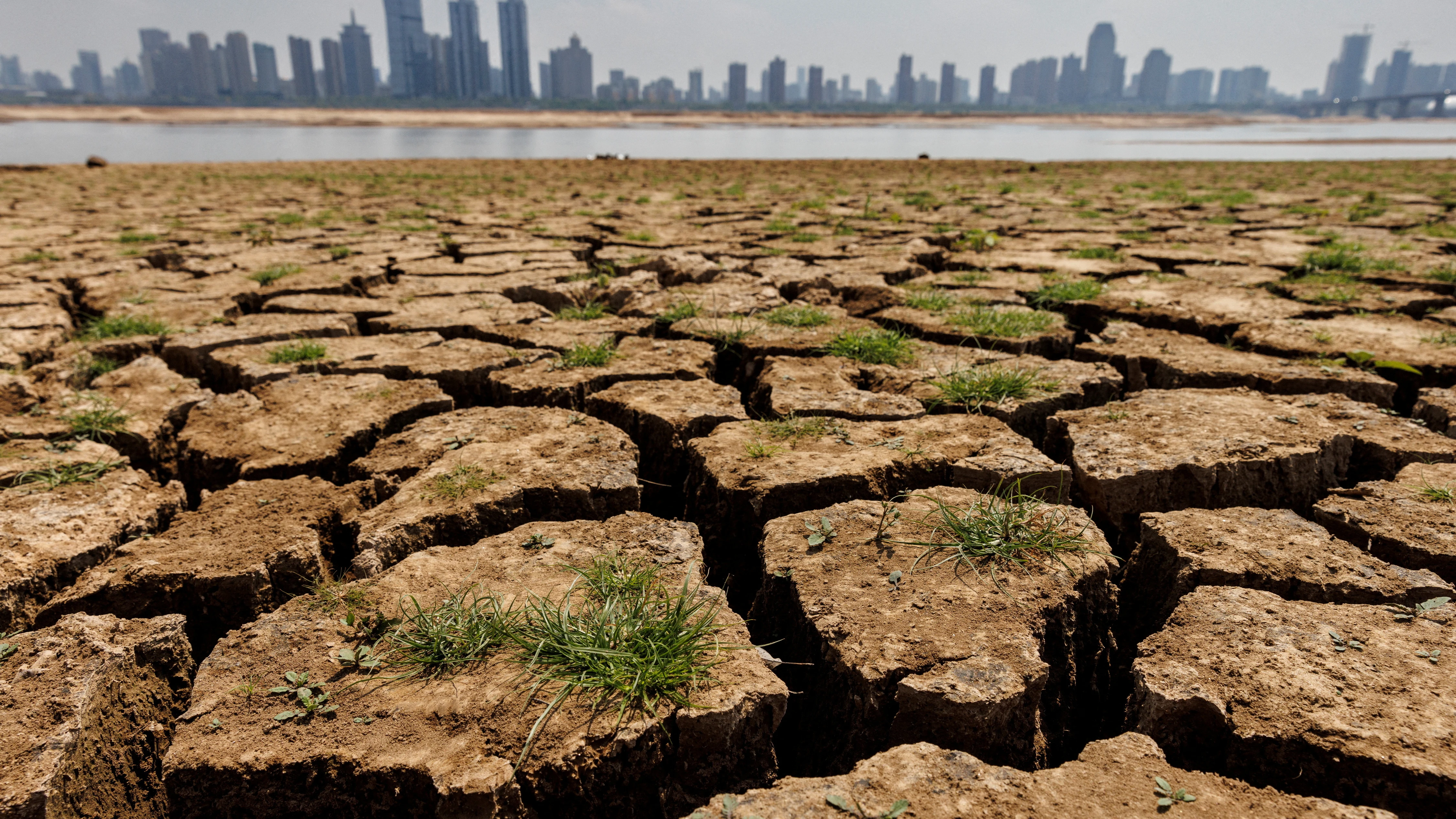 Verano de 2023, un verano de récord a causa del Cambio Climático Verano de 2023, un verano de récord a causa del Cambio Climático