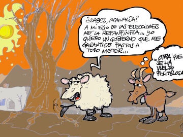 El diálogo entre una oveja y una cabra tras las elecciones del 23J. Viñeta gráfica 