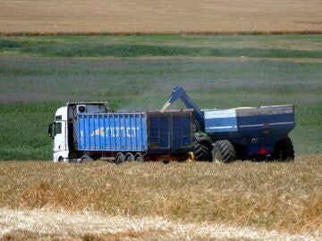  Última Hora Guerra Rusia Ucrania: Rusia ataca el sector agrícola ucraniano y destruye varios almacenes de grano