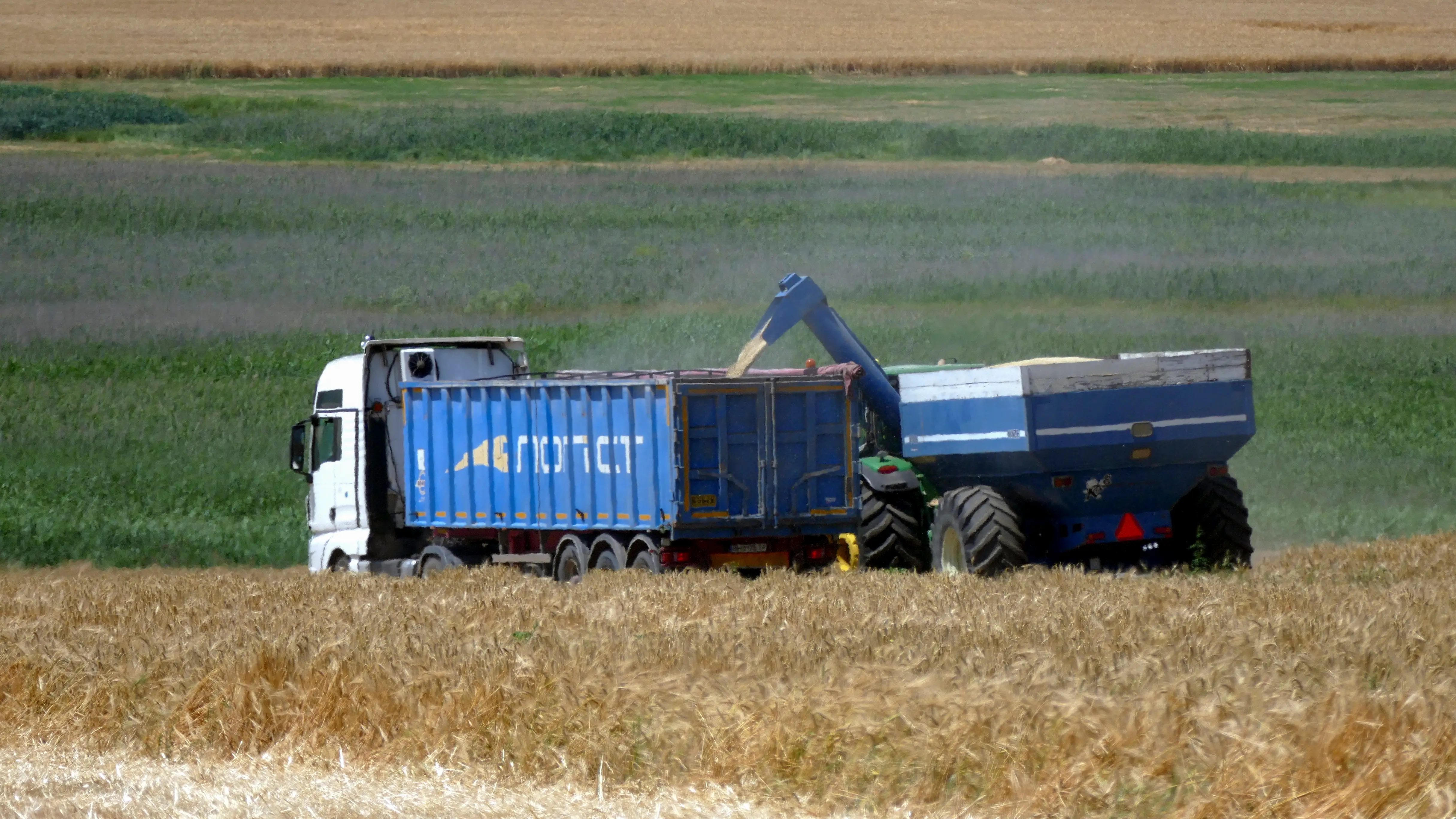 Última Hora Guerra Rusia Ucrania: Rusia ataca el sector agrícola ucraniano y destruye varios almacenes de grano Última Hora Guerra Rusia Ucrania: Rusia ataca el sector agrícola ucraniano y destruye varios almacenes de grano
