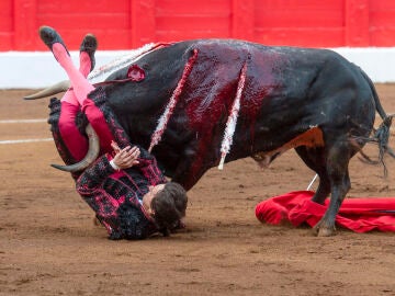 El torero Andrés Roca Rey es embestido por el toro en la Feria de Santiago de Santander
