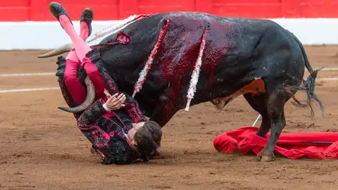 El torero Andrés Roca Rey es embestido por el toro en la Feria de Santiago de Santander