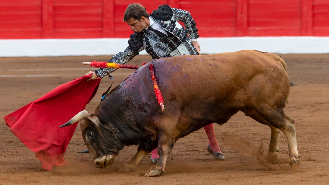 El El torero Julián López, "El Juli" El El torero Julián López, "El Juli"