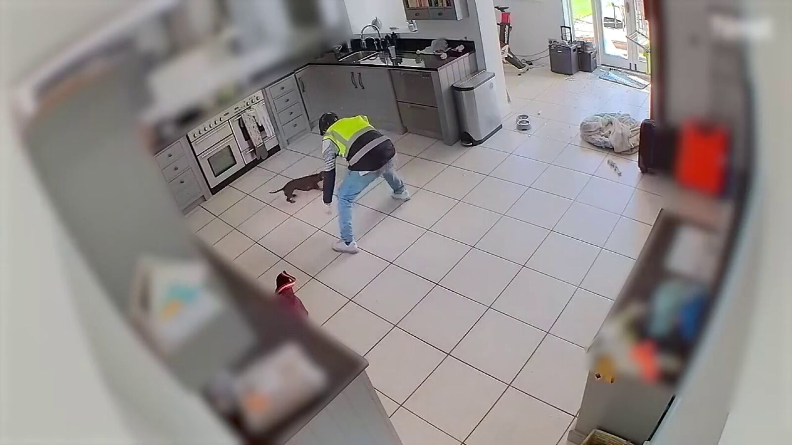 Vídeo: Un falso repartidor roba un perro salchicha aterrorizado