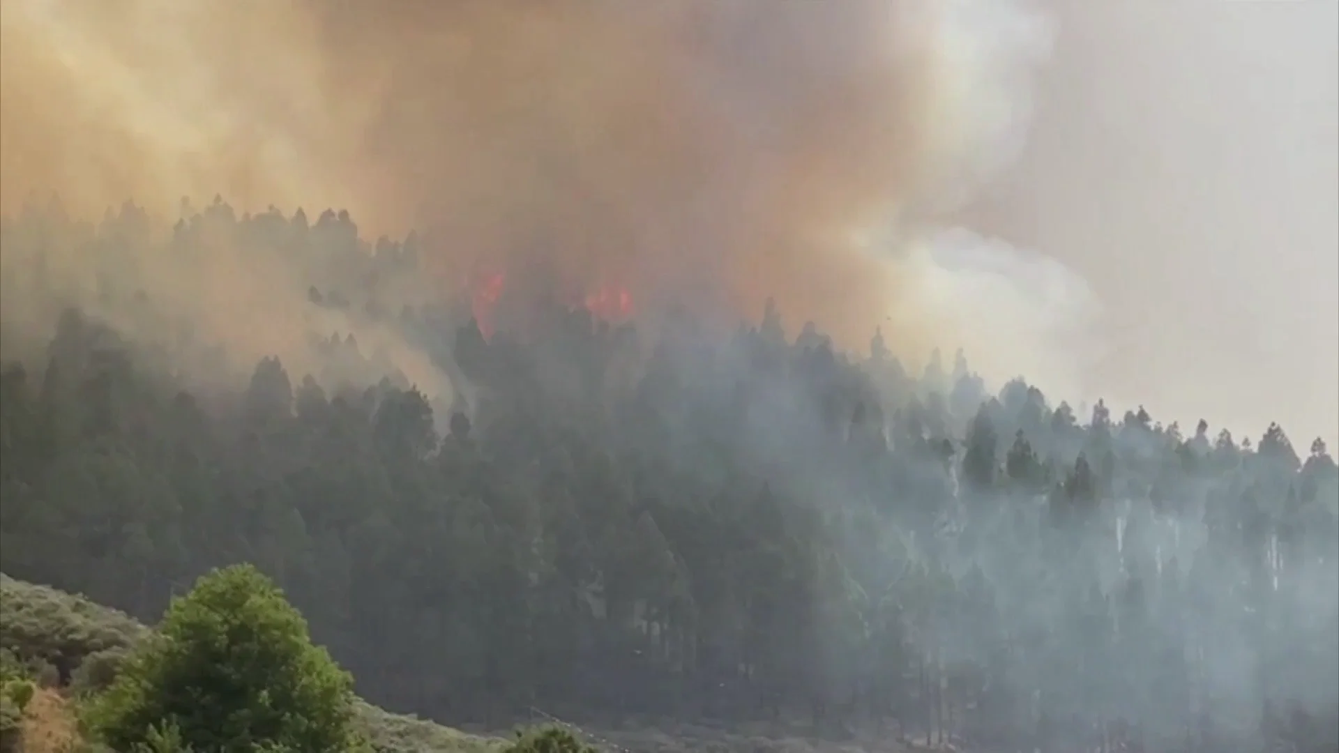 Incendio Canarias