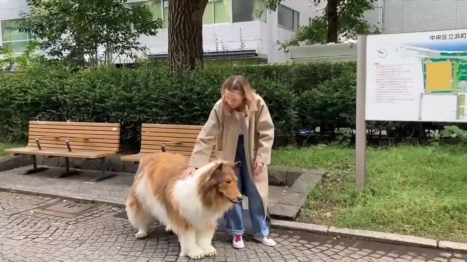 Hombre disfrazado de perro Hombre disfrazado de perro