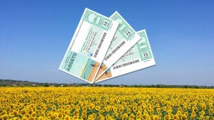 Cu&aacute;nto se lleva Hacienda por cada premio del Sorteo Extraordinario de Agosto de la Loter&iacute;a Nacional