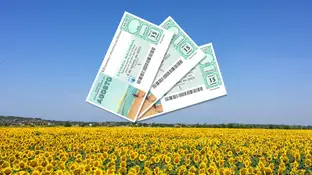 Cuánto se lleva Hacienda por cada premio del Sorteo Extraordinario de Agosto de la Lotería Nacional Cuánto se lleva Hacienda por cada premio del Sorteo Extraordinario de Agosto de la Lotería Nacional