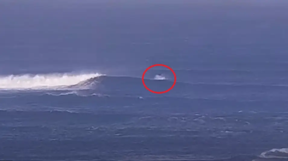 Momento en el que el tiburón ataca a un surfista en el suroeste de Australia Momento en el que el tiburón ataca a un surfista en el suroeste de Australia