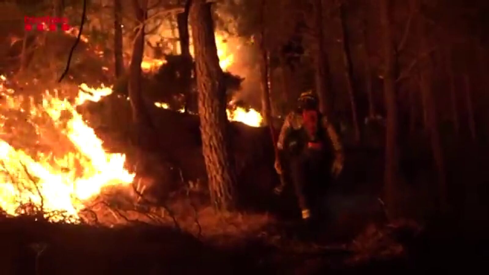 El incendio de Portbou, en Girona, estabilizado tras quemar 573 hectáreas