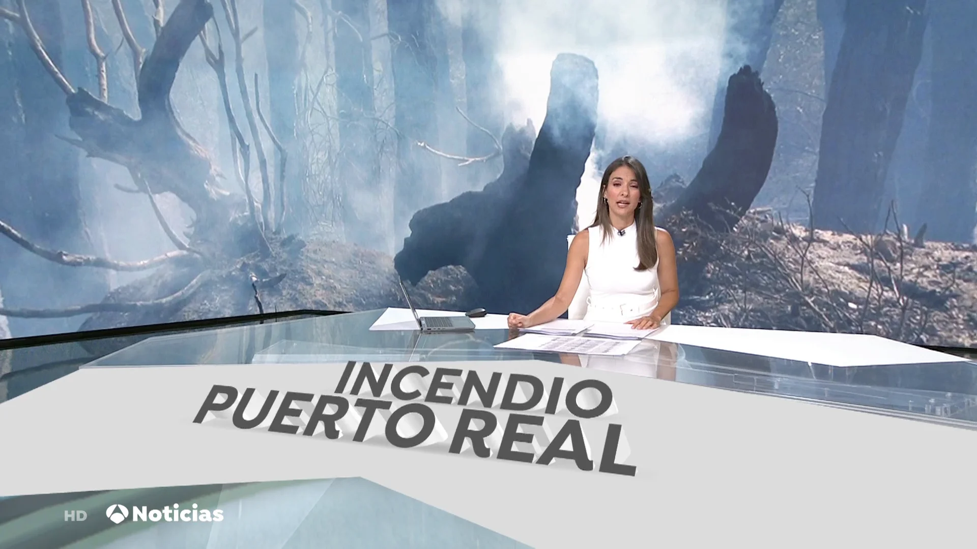 El incendio de Puerto Real (C&aacute;diz), controlado pero no extinguido