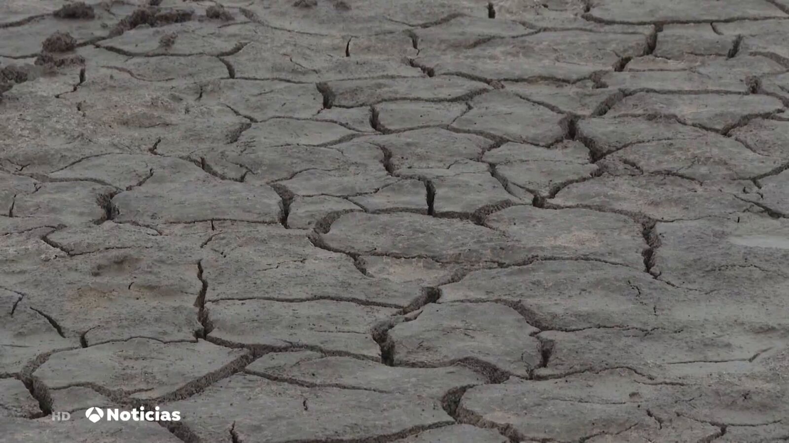 Vuelve a secarse un año más la laguna de Santa Olalla, la más grande de Doñana