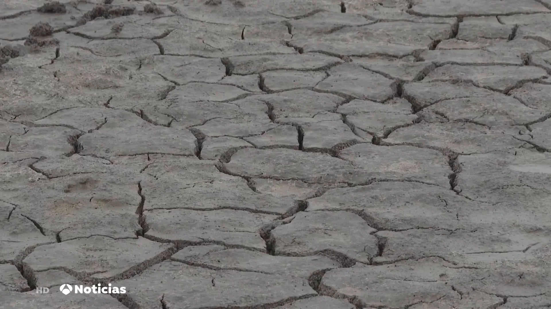 Vuelve a secarse un a&ntilde;o m&aacute;s la laguna de Santa Olalla, la m&aacute;s grande de Do&ntilde;ana
