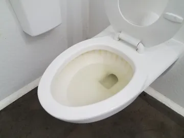 Inodoro con cal Inodoro con cal