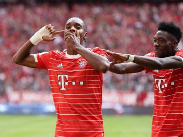  Mathys Tel celebra un gol con el Bayern