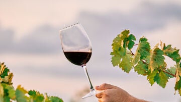 Una copa de vino 