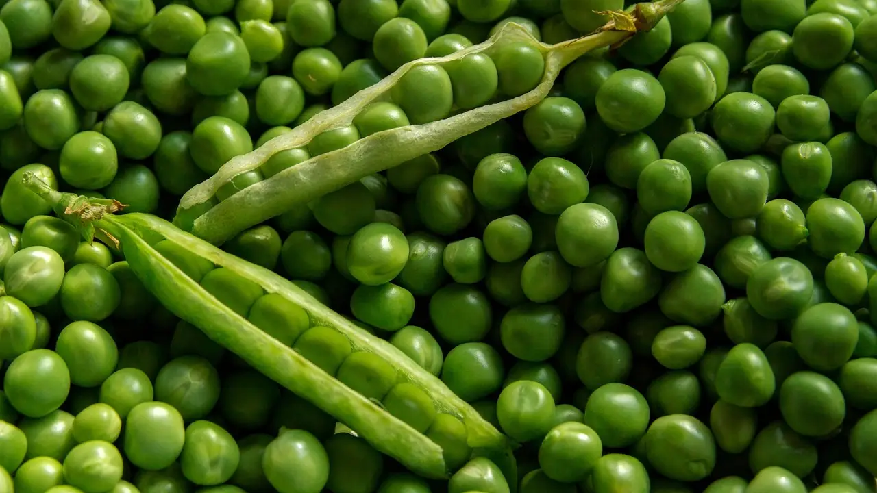 guisantes