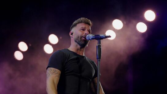 Ricky Martin, Anastacia, Marco Antonio Sol&iacute;s y Rub&eacute;n Blades
