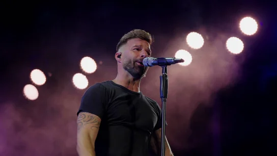 Ricky Martin. Ricky Martin, Anastacia, Marco Antonio Solís y Rubén Blades