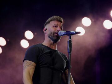 Ricky Martin, Anastacia, Marco Antonio Solís y Rubén Blades