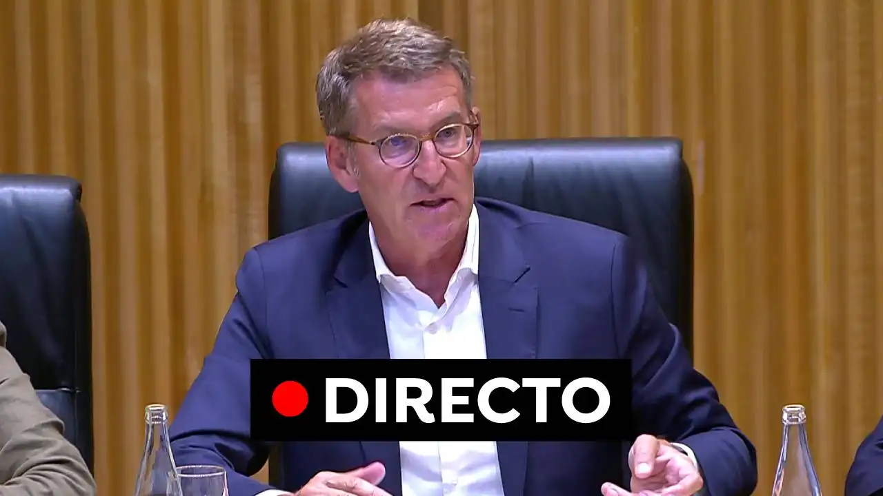 Alberto Núñez Feijóo, en el Congreso Alberto Núñez Feijóo, en el Congreso