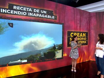 ¿Cómo afecta la ola de calor a las labores de extinción de un incendio inapagable como el de Tenerife?