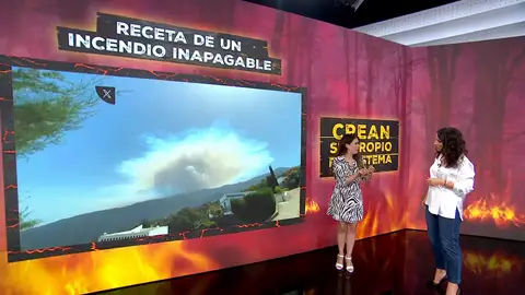 ¿Cómo afecta la ola de calor a las labores de extinción de un incendio inapagable como el de Tenerife? ¿Cómo afecta la ola de calor a las labores de extinción de un incendio inapagable como el de Tenerife?