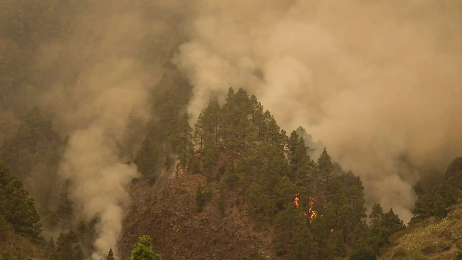 Incendio en Tenerife Incendio en Tenerife