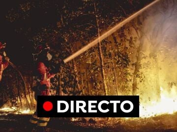 El incendio de Tenerife ocupa 8.400 hectáreas