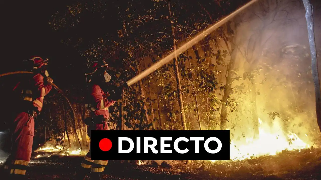 El incendio de Tenerife ocupa 8.400 hectáreas El incendio de Tenerife ocupa 8.400 hectáreas