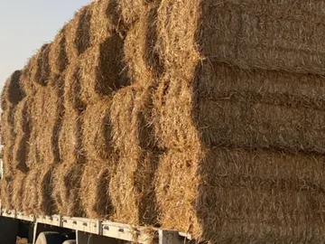 Imagen de un camión con paja Imagen de un camión con paja