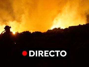 Incendio Tenerife, última hora