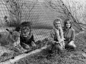 Tippi Hedren y Melanie Griffith en el zoo de Londres Tippi Hedren y Melanie Griffith en el zoo de Londres