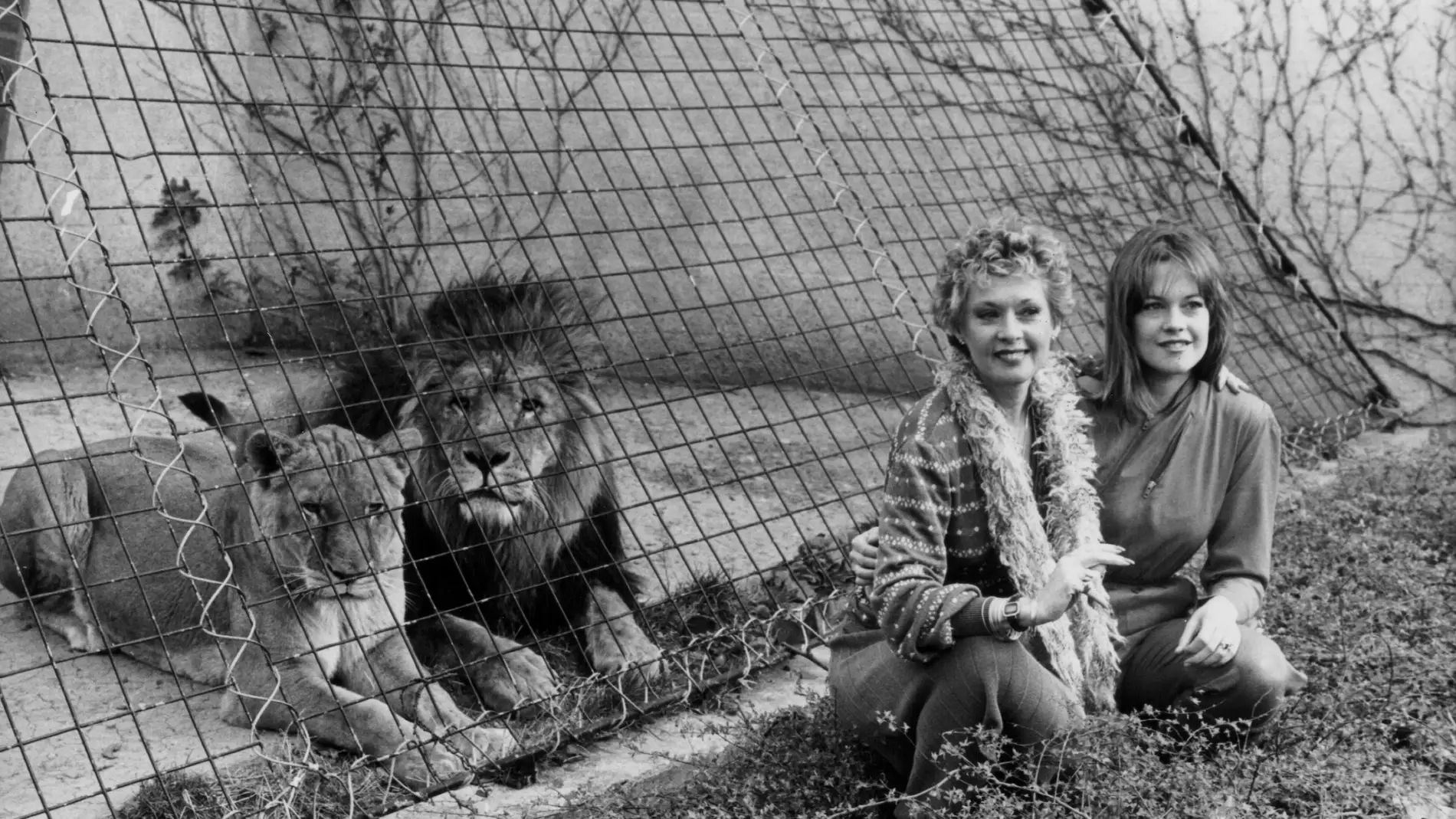 Tippi Hedren y Melanie Griffith en el zoo de Londres