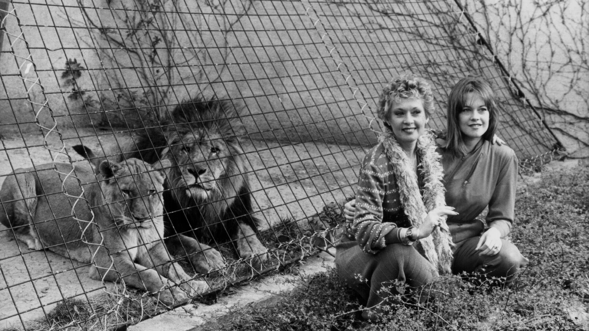 Tippi Hedren y Melanie Griffith en el zoo de Londres Tippi Hedren y Melanie Griffith en el zoo de Londres