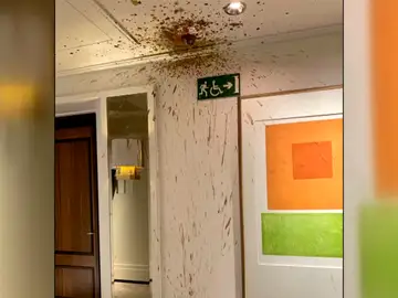 Techo de hotel vomitado Techo de hotel vomitado