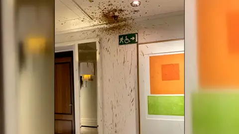 Techo de hotel vomitado