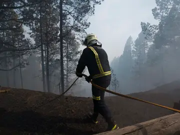 Bomberos de Güímar en el bosque de Las Raíces Bomberos de Güímar en el bosque de Las Raíces