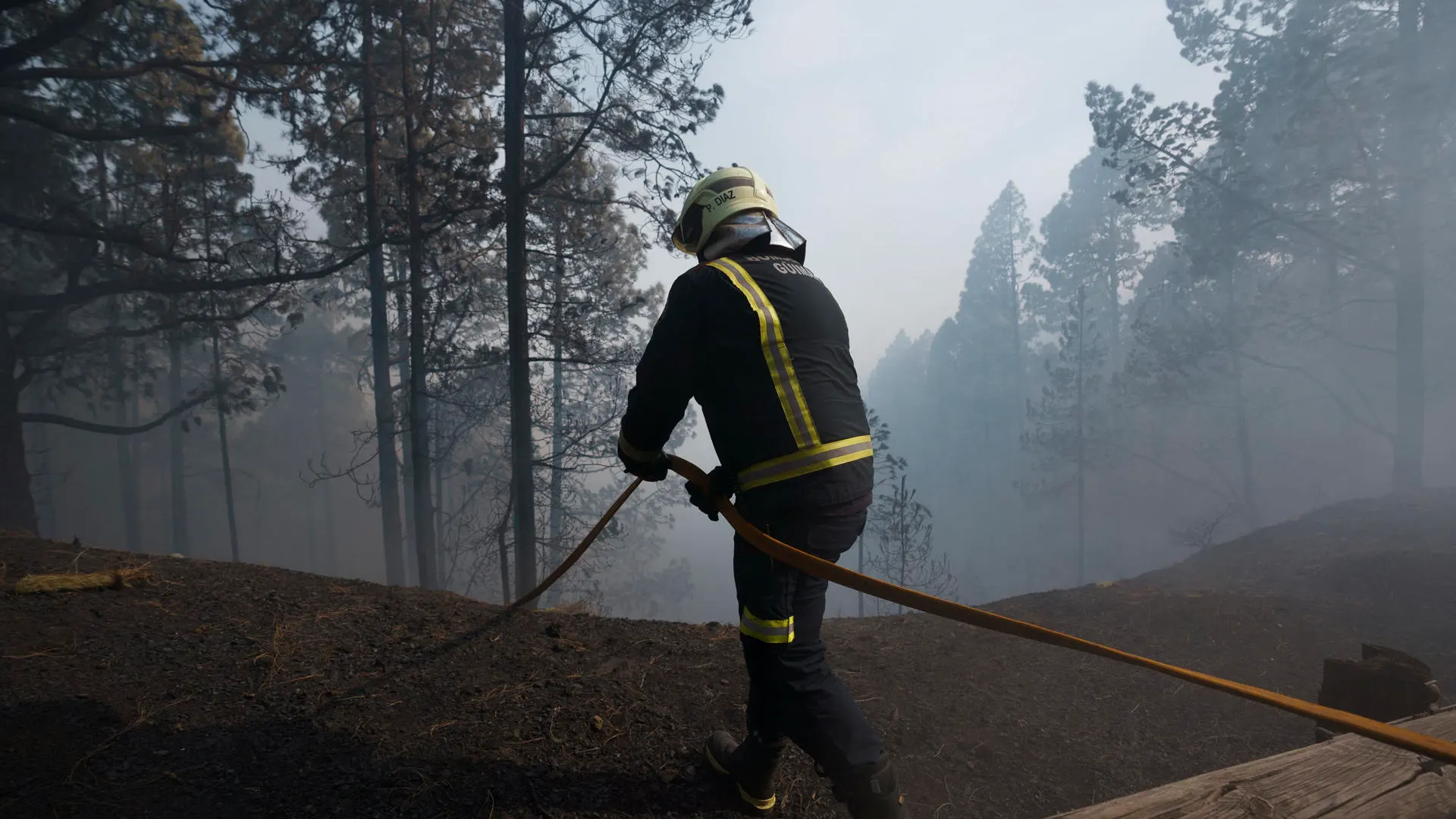 Bomberos de Güímar en el bosque de Las Raíces Bomberos de Güímar en el bosque de Las Raíces