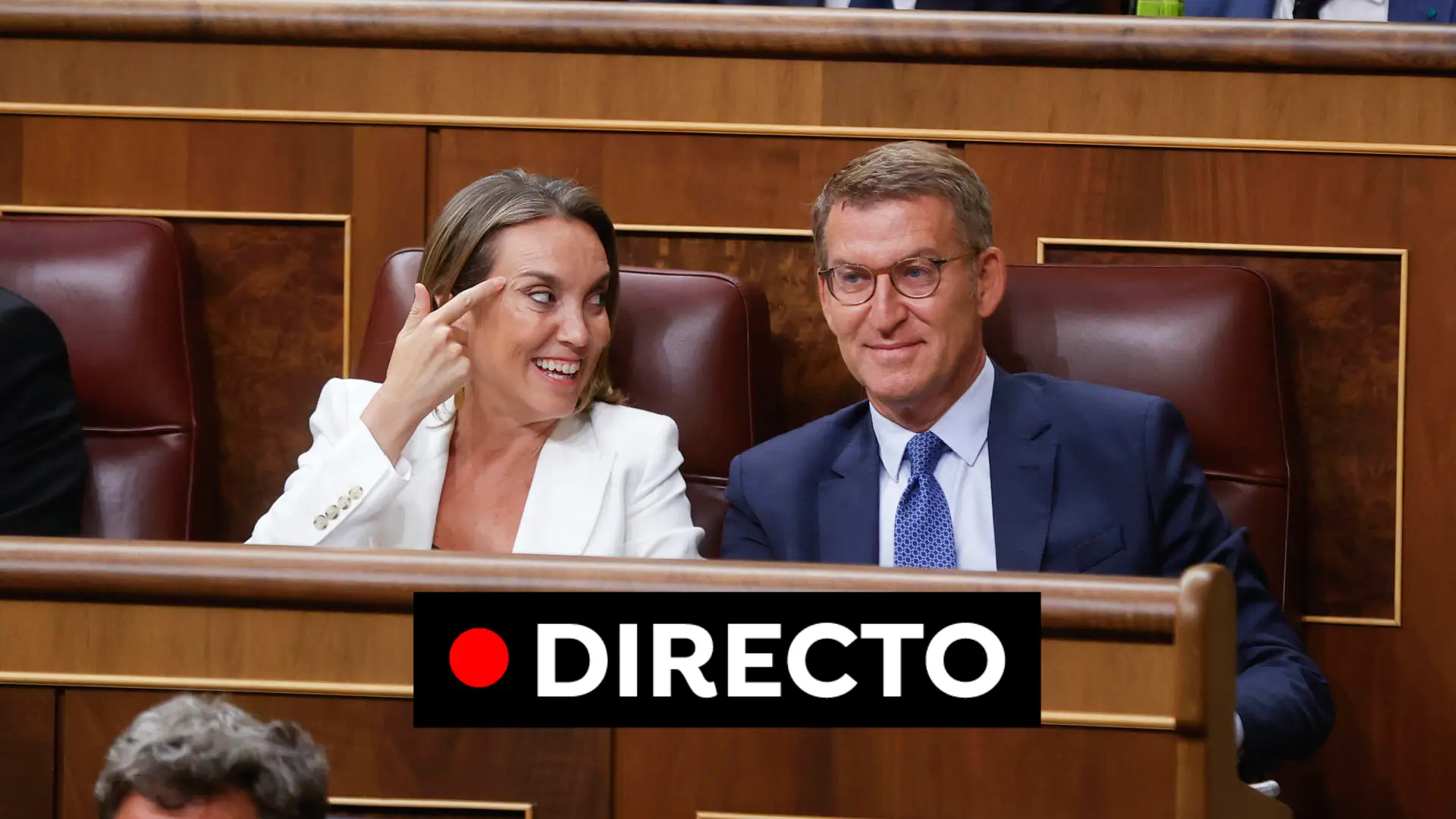 La investidura de Feijóo, en directo La investidura de Feijóo, en directo