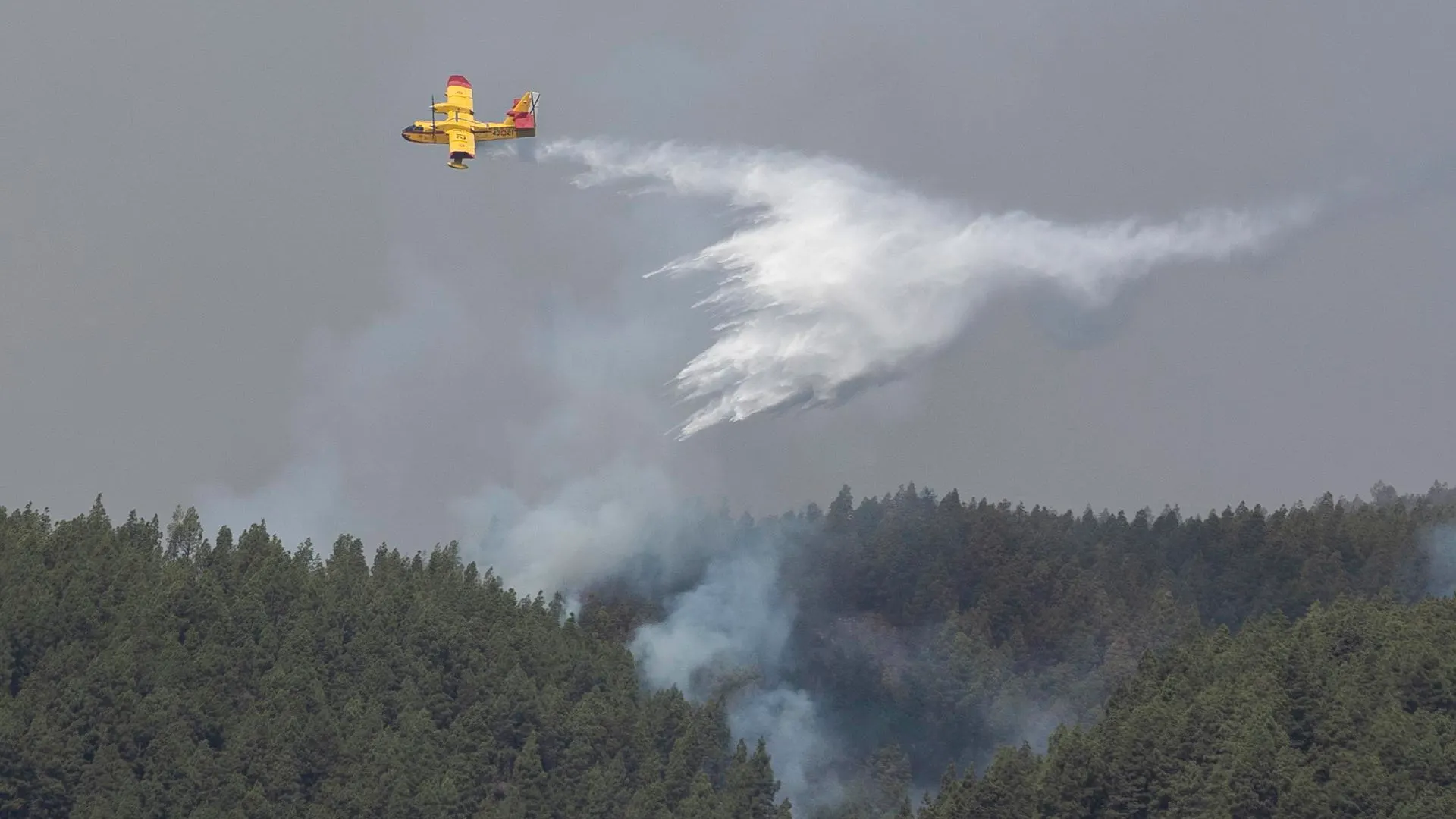 Estabilizaci&oacute;n del incendio en Tenerife