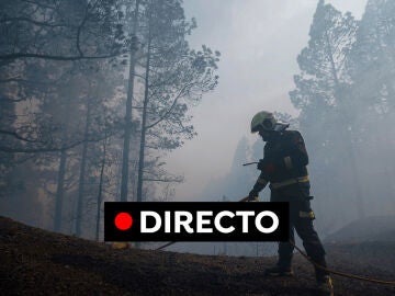 Incendio en Tenerife, en directo: las últimas 48 horas han sido clave para controlar la mayor parte del incendio