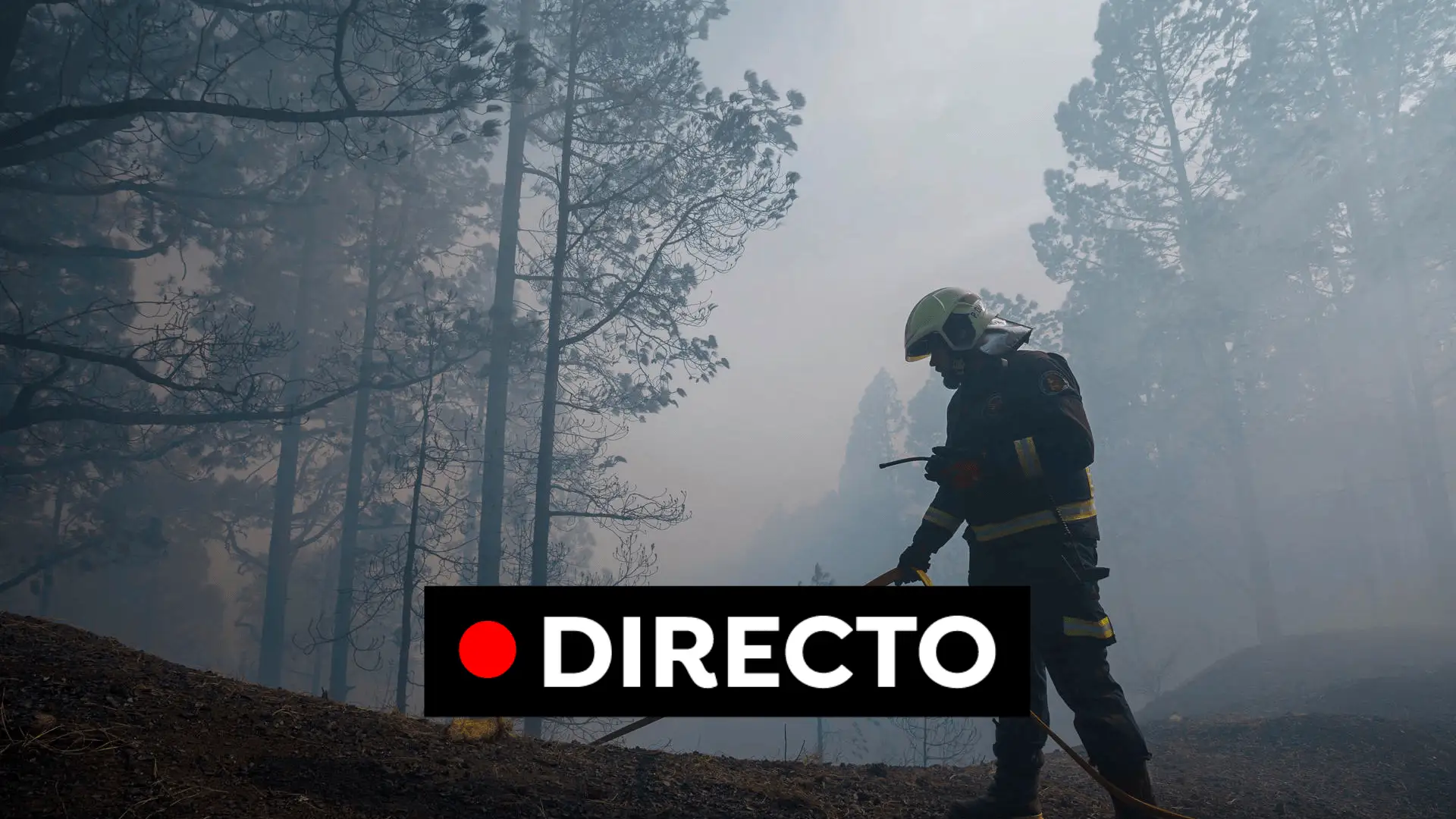 Incendio en Tenerife, en directo: las &uacute;ltimas 48 horas han sido clave para controlar la mayor parte del incendio