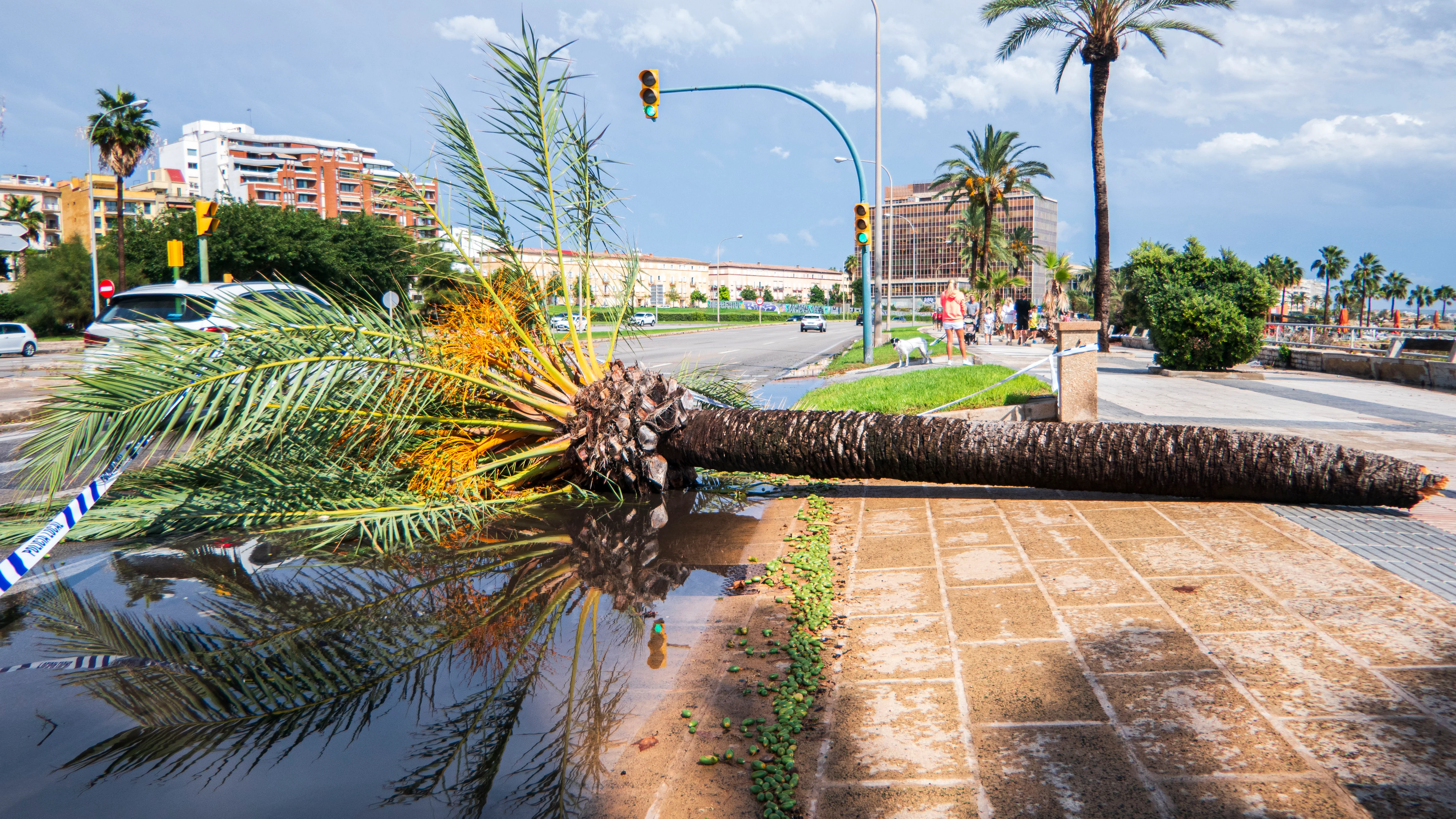 El temporal de Calvià deja 64 incidencias El temporal de Calvià deja 64 incidencias