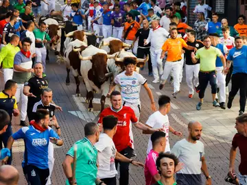 El primer encierro de 2023 en la localidad madrileña de San Sebastián de los Reyes El primer encierro de 2023 en la localidad madrileña de San Sebastián de los Reyes