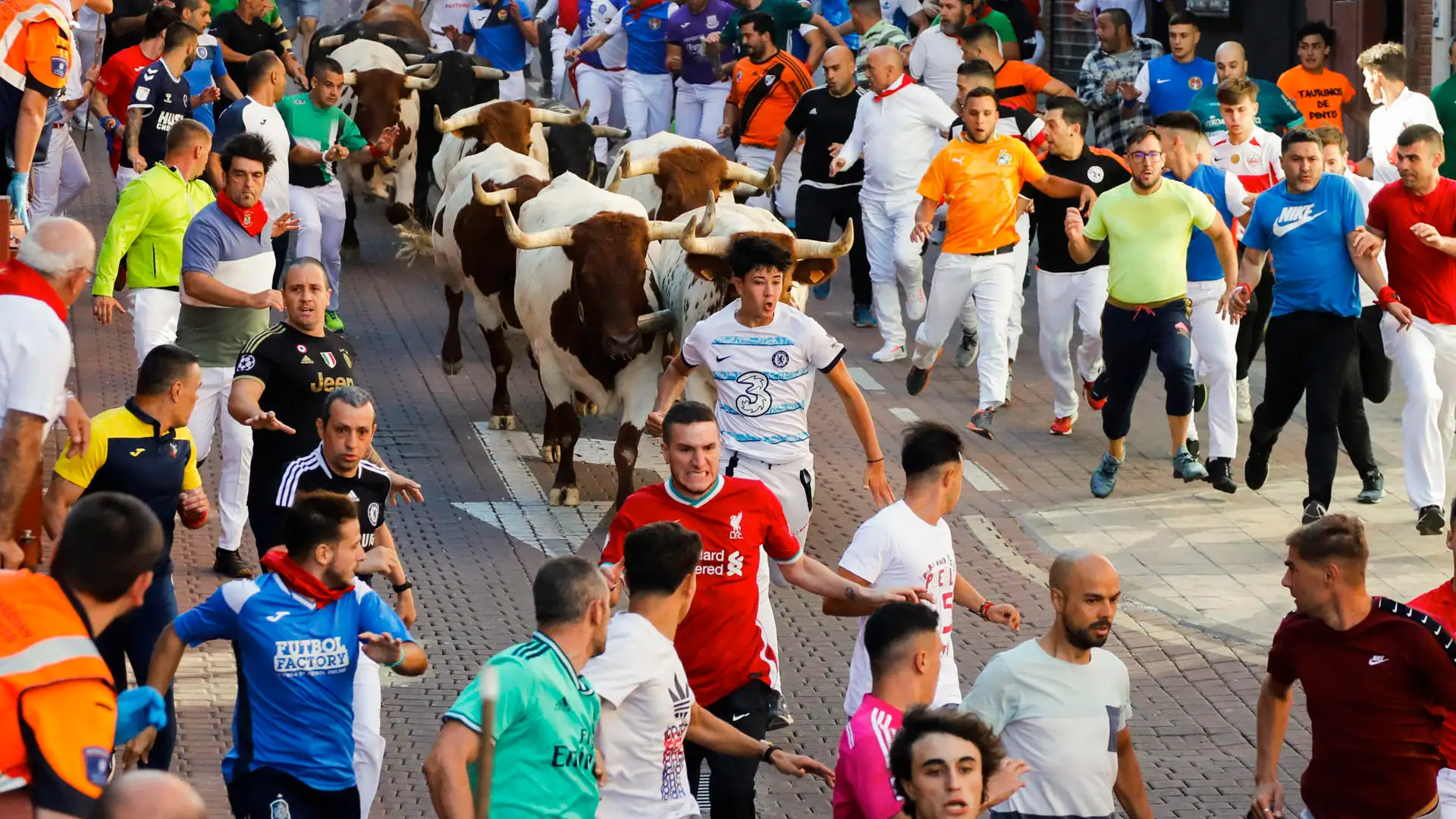 El primer encierro de 2023 en la localidad madrileña de San Sebastián de los Reyes El primer encierro de 2023 en la localidad madrileña de San Sebastián de los Reyes