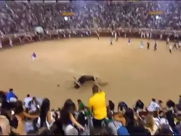 Dos hospitalizados por cornadas en una capea tras el multitudinario encierro nocturno de San Sebastián de los Reyes Dos hospitalizados por cornadas en una capea tras el multitudinario encierro nocturno de San Sebastián de los Reyes