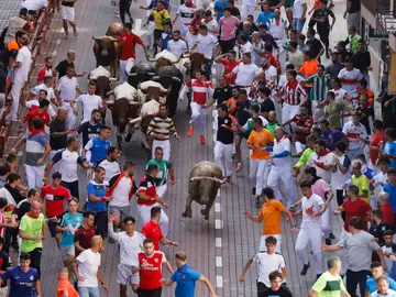Vista del cuarto encierro de las fiestas de San Sebastián de los Reyes, este miércoles Vista del cuarto encierro de las fiestas de San Sebastián de los Reyes, este miércoles