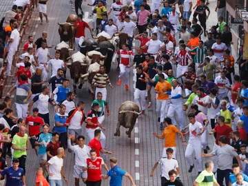 Vista del cuarto encierro de las fiestas de San Sebastián de los Reyes, este miércoles Vista del cuarto encierro de las fiestas de San Sebastián de los Reyes, este miércoles