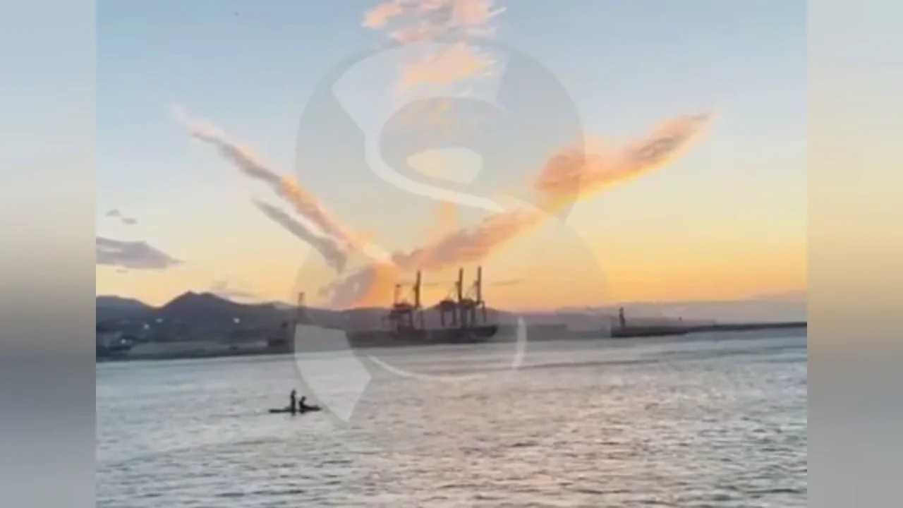 En el v&iacute;deo se les ve remando mar adentro 